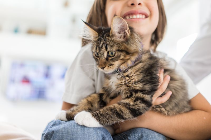 Kinder und Katzen
