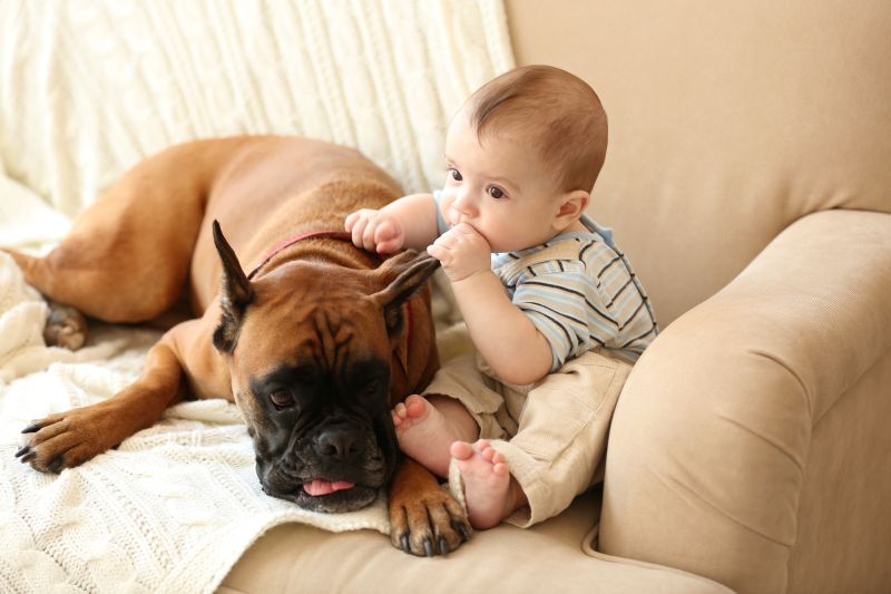 Kinder und Hunde