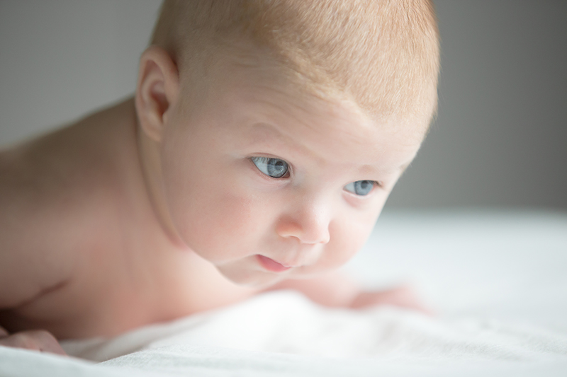 Babykopf